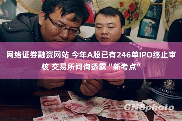 网络证劵融资网站 今年A股已有246单IPO终止审核 交易所问询透露“新考点”