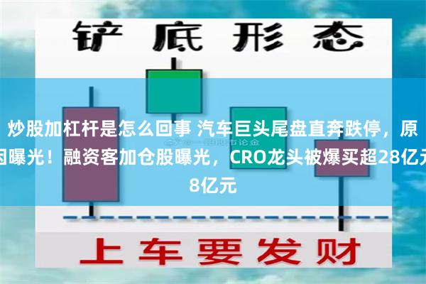 炒股加杠杆是怎么回事 汽车巨头尾盘直奔跌停，原因曝光！融资客加仓股曝光，CRO龙头被爆买超28亿元