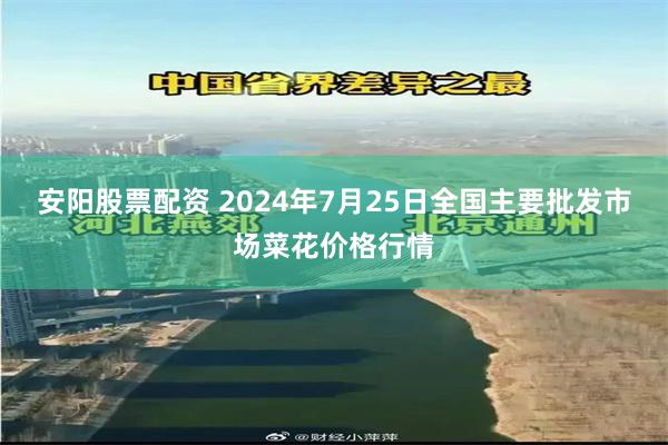 安阳股票配资 2024年7月25日全国主要批发市场菜花价格行情