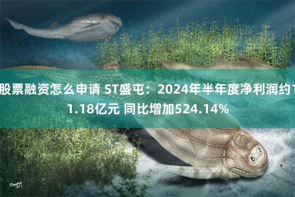 股票融资怎么申请 ST盛屯：2024年半年度净利润约11.18亿元 同比增加524.14%