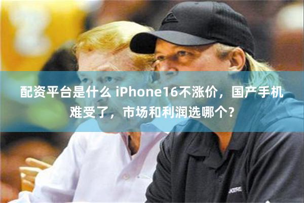 配资平台是什么 iPhone16不涨价，国产手机难受了，市场和利润选哪个？