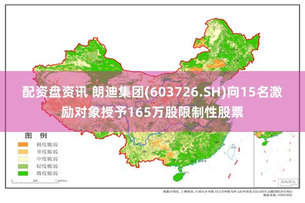 配资盘资讯 朗迪集团(603726.SH)向15名激励对象授予165万股限制性股票