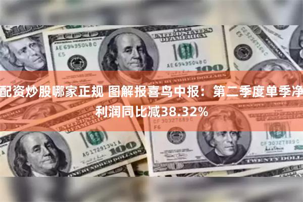 配资炒股哪家正规 图解报喜鸟中报：第二季度单季净利润同比减3