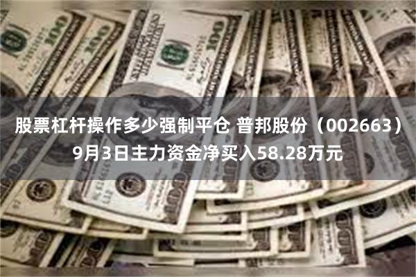 股票杠杆操作多少强制平仓 普邦股份（002663）9月3日主力资金净买入58.28万元