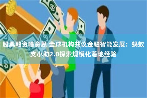 股票融资啥意思 全球机构共议金融智能发展：蚂蚁支小助2.0探索规模化落地经验