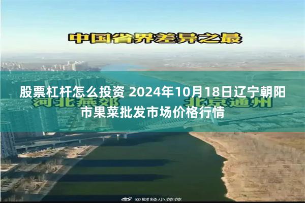 股票杠杆怎么投资 2024年10月18日辽宁朝阳市果菜批发市