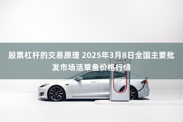 股票杠杆的交易原理 2025年3月8日全国主要批发市场活草鱼价格行情