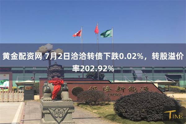 黄金配资网 7月2日洽洽转债下跌0.02%，转股溢价率202